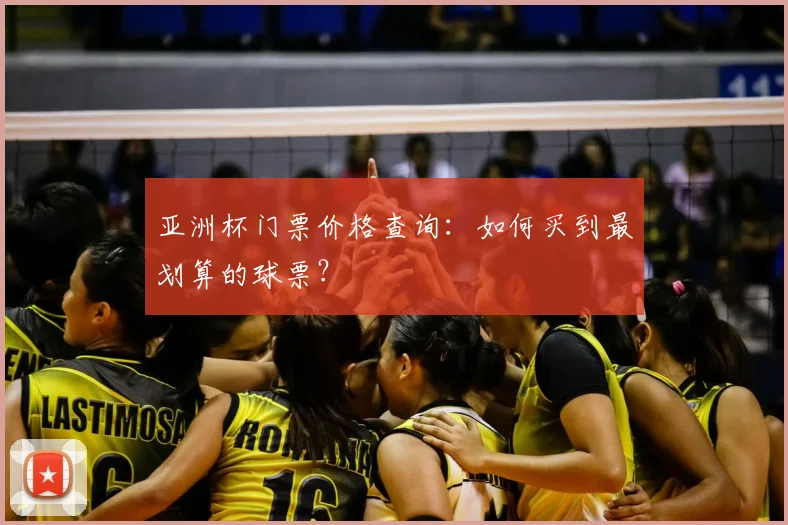亚洲杯门票价格查询：如何买到最划算的球票？